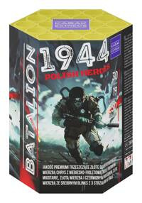 Battalion 1944 Polish Heroes 19s SL19-03D F2 8/1