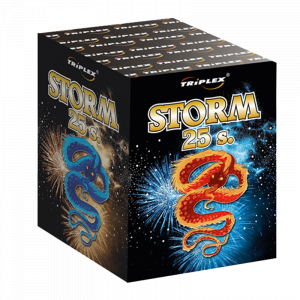 Sturm 25s TXB029 F2 4/1