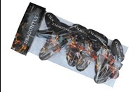 PXG207 LIBELLE SCHMETTERLINGE 5 Stk