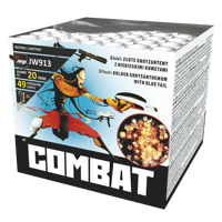 Combat 49s JW913 F2 8/1