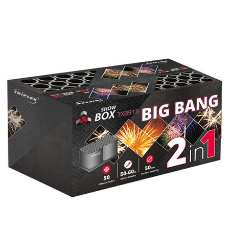 Big Bang 2" 50s TXB913 F3 1/1