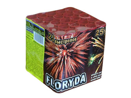 Florida 25s P7048 F2 24/1