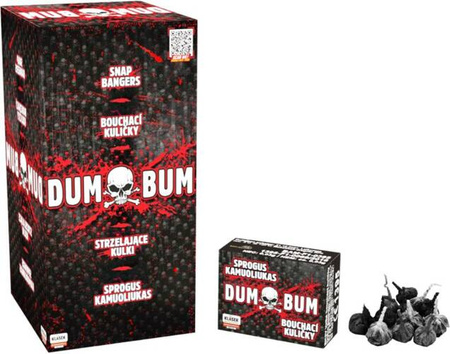 Dum Bum big bouchajci kulick BK2V F1 6/50/20