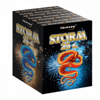 Sturm 25s TXB029 F2 4/1