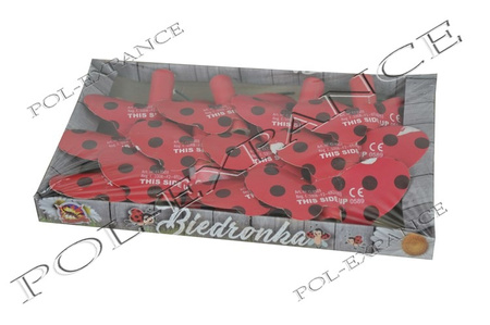 BIEDRONKA CLE3503 60/12 F2