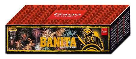 Banita 200s SFC9005 F3 2/1