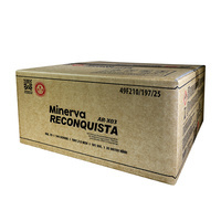 Minerva Reconquista 144s AR-X03  F2  1/1