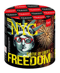 Freedom 13s SS13-07I F2 9/1