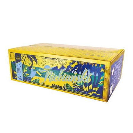 Niebiański 173s IC30-173-1 F3 1/1