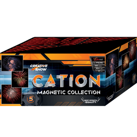 Cation 100s PXC216 F2 1/1