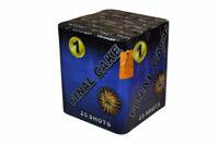 Laatste taart 1 25s XB3004 F3 4/1