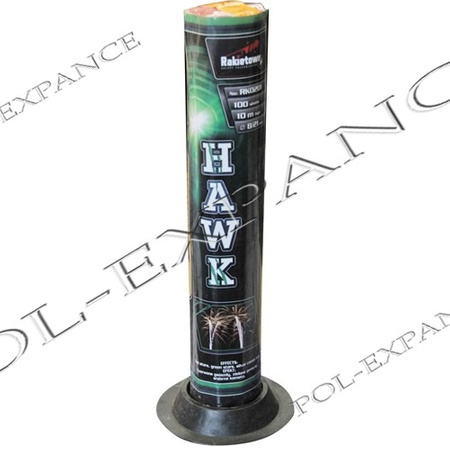 Hawk 100s RKO201 F2 20/1