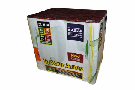 X-Black Army / In Your Arms 31s DL31-01  F2  4/1