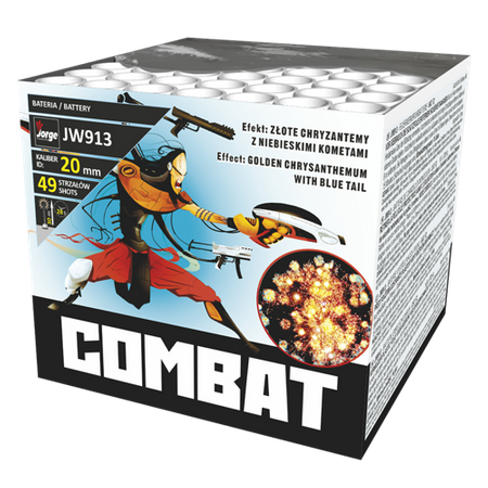 Combat 49s JW913 F2 8/1