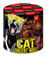 Katze 14s FM14-02 F2 12/1