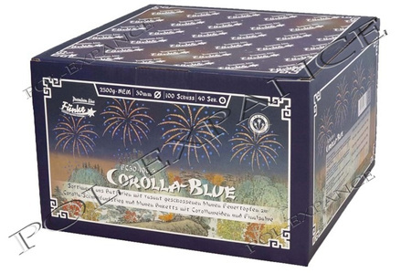 Corolla Blue 100s FC30-100-3 F2 1/1