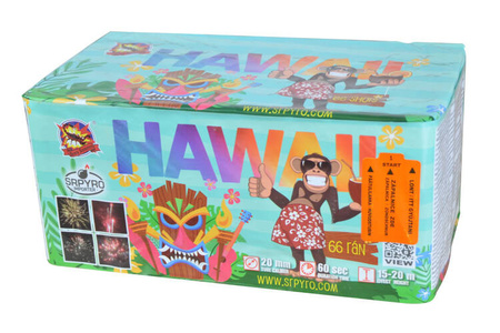 Hawaii 66s 20mm CLE4041 F2 6/1