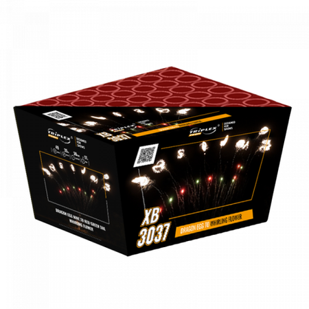 Dragon Egg to Whirling Flower 49s V XB3037 F3 2/1