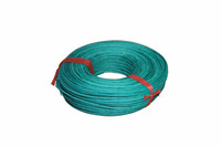 Groene zekering 2,5 mm FU22 20/1