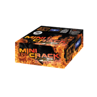 Mini Crack 100s PXB2141  F2  24/1