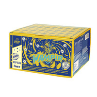 Wampir 100s. IC21-100-1  F2  3/1